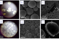 智能微胶囊揭秘：如何让香料在特定温度下释放得恰到好处？