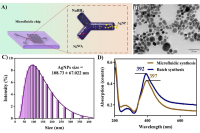 江苏大学郭志明教授团队：微流控-SERS平台原位合成银纳米颗粒，快速检测食品中的大肠杆菌