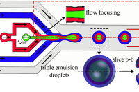 武汉科技大学汪朝晖教授团队：静电场控制下交叉流微通道中三重乳液液滴的形成解析