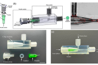 南京航空航天大学张家铭&盐城市第三人民医院张亚军：一种模块化且经济高效的液滴微流控装置，实现可控的乳液生成