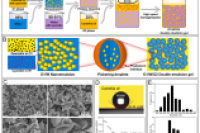 别让脂肪成负担！浙江大学张辉教授团队研发O1/W/O2双乳液凝胶，打造健康脂肪替代品
