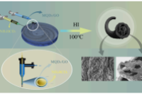 北京服装学院张梅副教授团队：微流控纺丝制备分级多孔MXene量子点/石墨烯复合纤维，助力高性能超级电容器