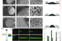 五邑大学韩少波/安农大叶冬冬/合工大王慧庆等《Nano Energy》：汗液也能发电！仿生梯度气凝胶纤维开启可穿戴设备“无电池时代”