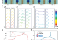 纳米能源所陈翔宇、理化所董智超《Advanced Materials》：仿生静电捕获和释放系统，实现精确的微滴操作