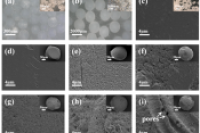 湖南工业大学陈一教授团队：多孔海藻酸钠/纤维素纳米纤维复合水凝胶微球，高效去除废水重金属