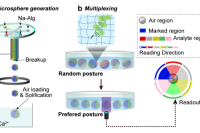 清华大学&北京工商大学：微流控自导向水凝胶微球驱动miRNA检测技术新突破