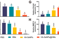 重庆医科大学附属第一医院骨科黄伟、厉轲、雷一霆团队：级联靶向载硒水凝胶微球用于骨关节炎治疗