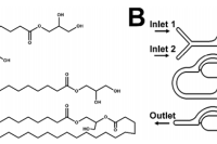 无溶剂微流控技术制备抗菌脂质纳米颗粒 发布时间2025-03-06 11:18:19 文