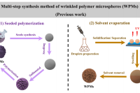 海南大学刘天&刘宁&邵世洋等人：基于单体竞聚率差异一步合成褶皱聚合物微球
