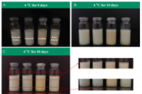 东北农业大学&蒙牛集团：GABA“解锁”新的W/O/W双乳液制备方法，助力抗焦虑化合物GABA和槲皮素高效共递送！