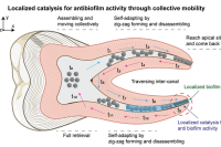密闭空间感染难解决？纳米酶壳微胶囊来“破局”！