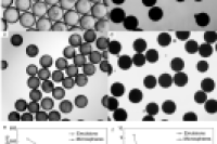 精准治污！西南石油大学余亚兰团队研发三乙胺修饰聚合物微球，高效去除废水中的硝酸盐