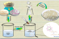 离子凝胶法制备可降解 pH 敏感钙交联水凝胶微球，实现疏水药物的靶向递送