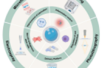 一图读懂综述：水凝胶微球的制备及其在关节软骨损伤中的应用