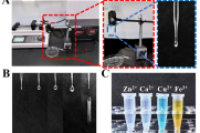 微流控电喷雾技术制备不同金属离子交联海藻酸钠微球