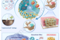 苏大骨科研究所杨惠林教授&施勤教授&徐勇教授：水凝胶微球双效疗法，逆转椎间盘退变的新突破