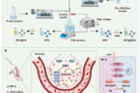 东华大学史向阳教授团队：电喷雾核壳微球共递送纤连蛋白和白藜芦醇，协同治疗急性肺损伤