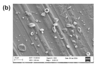 告别传统注射！电喷雾核壳微粒解锁肺部给药新姿势