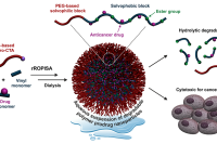 原位合成可降解聚合物前药纳米粒子，为相关疾病诊疗一体化提供新思路