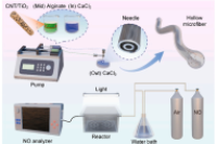 宁波诺丁汉大学任勇教授团队：针式微流控装置连续制备中空光催化CNT/TiO2/海藻酸钙微纤维，用于NO去除