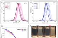 热响应核壳纳米颗粒，实现肿瘤区域的高对比度成像与光动力治疗协同增效