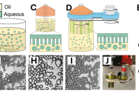 集成微型涡轮的微流控液滴生成系统，实现微凝胶的可扩展生产