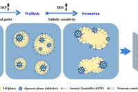 天津大学郭锦棠教授团队：基于W/O/W双乳液设计高温盐响应水凝胶，突破油藏封堵难题