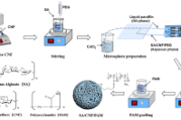 湖南工业大学陈颖副教授&陈一教授：海藻酸钠/纤维素纳米纤维/聚丙烯酰胺复合水凝胶微球用于高效去除水体重金属离子