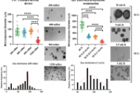《Adv. Healthcare Mater.》：基于双水相系统制备生物医用单细胞液芯微胶囊