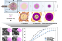 微流控生成具有可调核壳形态与释药特性的载药聚合物微胶囊