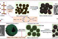 江汉大学胡成龙&陈韶云：自降解模板法构筑空心海胆状聚苯胺微球，用于高性能电化学储能