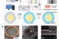 苏州科技大学陈永平教授团队：微流控技术制备石墨烯涂层相变纤维，实现高效被动热管理