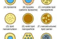 一图读懂综述：微流控合成脂质纳米颗粒用于药物递送的最新进展