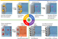 一图读懂综述：仿生微胶囊在智能锂离子电池中的应用进展