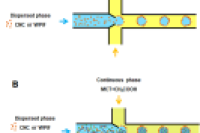 陕西科技大学姚晓琳教授团队：使用微流控技术精准构筑食品级Pickering液滴与微球