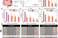 鲁东大学陈雪叶教授团队NANO RES.：机器学习-微流控集成的一步法制备靶向脂质体策略