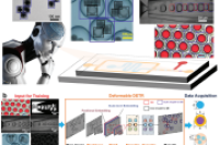 香港科技大学&香港理工大学《Advanced Science》：机器视觉赋能液滴微流控技术发展