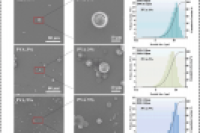 氢键介导可逆自组装！制备阿维菌素纳米胶囊，破解农药“快释易降解”难题