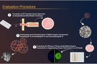 基于液滴微流控构建肿瘤球状体模型，助力ZIF-8载药体系抗癌疗效评估