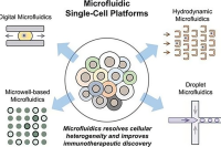 用于免疫治疗靶点发现的微流控单细胞技术：从设计概念到临床前应用