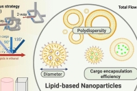流体动力聚焦合成脂质纳米颗粒：从微流控芯片设计到细胞摄取效率的全景解析