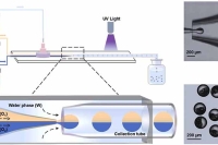 中国计量大学团队提出共流微流控新策略，实现磁性Janus颗粒的一步可控合成与磁控驱动