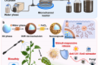 农药也能“智能控释”？南京大学团队利用微流控技术制备环保纳米胶囊，杀菌更安全