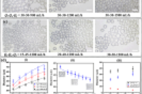 基于微流控技术的热触发灭火微胶囊，助力狭小密闭空间高效灭火