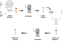 微流控技术实现多组分抗菌纳米颗粒的快速简易制备