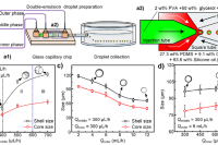 从运输到释放的“一体化平台”：东北林业大学研发电控双乳液液滴操控新方法