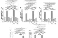 谢敬伟教授团队《Small》：3D打印微流控平台制备多孔纳米纤维微球，调节细胞反应、促进组织再生