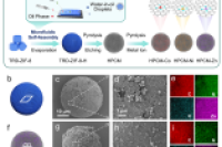 微流控自组装构建分级多孔复合碳微球：借d-p杂化之力高效捕集低浓度铯离子