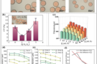 基于多相剪切诱导乳化/内部凝胶化的一步微流控策略制备结构可调海藻酸盐水凝胶微球 发布时间2025-07-23 11:16