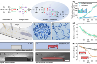 不止是变形！PDMS溶胀诱导微通道重塑，液滴微流控应用再升级